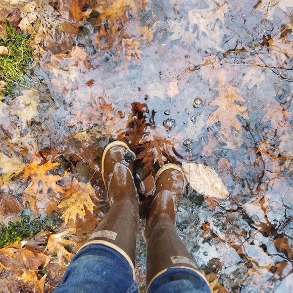 Meet your Posher, Taylor - Picture 3 of 5